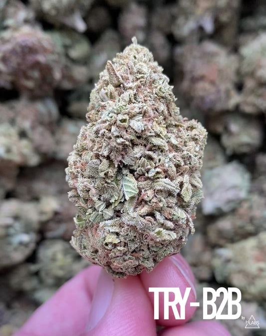 “Power Kush” CBD Flowers | (2g Sample)