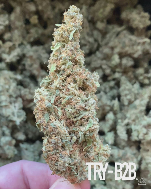 “Amnesia” CBD Flowers | (2g Sample)