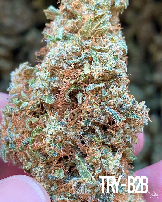 “Amnesia” CBD Flowers | (2g Sample)